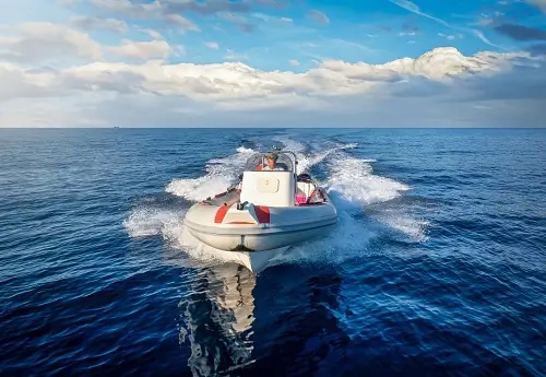 Rib on the open ocean